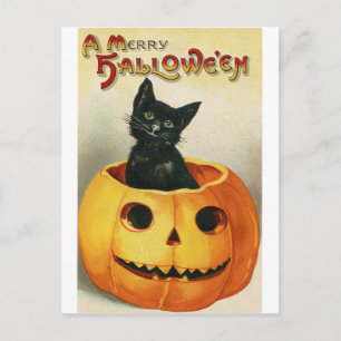 Vintage Halloween-Karte Schwarze Katze in Pumpki Postkarte