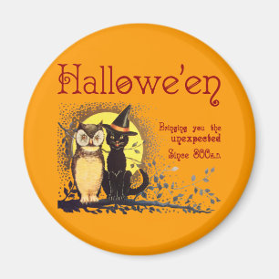 Vintage-Halloween-Katze-und-Eule-Magnet Magnet