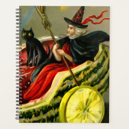Vintage Halloween-Katzenjacke Planer (Vorderseite)