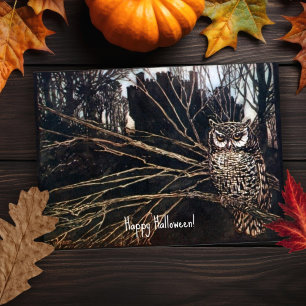 Vintage Halloween-Owl-Halloween-Karte Karte