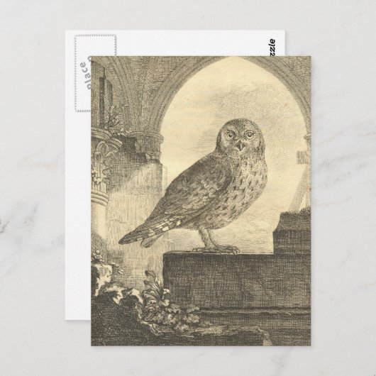 Vintage Halloween Owl Postkarten (Vorne/Hinten)