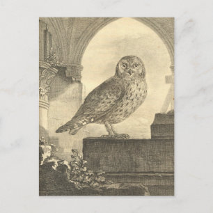 Vintage Halloween Owl Postkarten