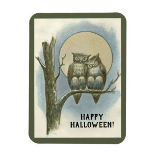 Vintage-Halloween-Paar Eulen sitzt Nachtmond Magnet