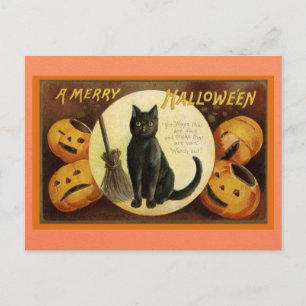 Vintage Halloween schwarze Katze Kürbis viktoriani Postkarte