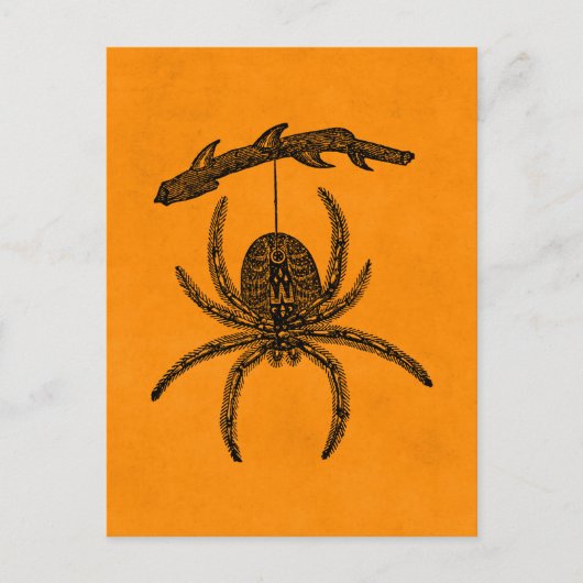 Vintage Halloween Spider Orange-Hintergrundezinnen Postkarte (Vorderseite)