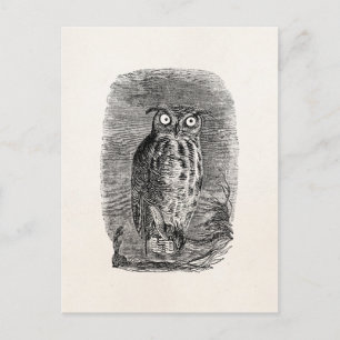 Vintage Halloween-Uhus mit großen Hörnern Postkarte