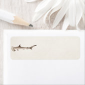 Vintage Hammerkopfhaie-Illustration Retrohaie (Insitu)