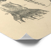Vintage Hand Anatomie 1880 Druck Poster (Ecke)