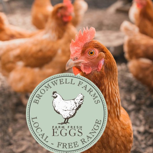 VINTAGE HÄNDLER FRISCHES EGG-Blassgrünes Etikett Runder Aufkleber