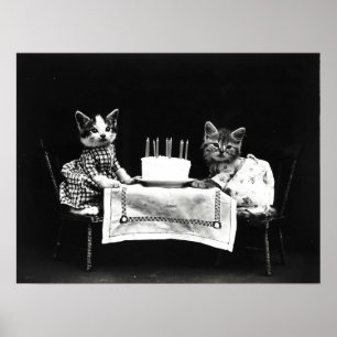Vintage Harry Frees Funny Cats zum Geburtstagskuch Poster