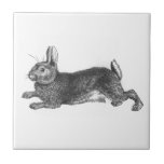 Vintage Häschen-Fliese Fliese<br><div class="desc">Dieses Vintage Bild von Häschenkaninchen hopping weg holt ein Lächeln zum Herzen jedes Kindes oder kindlichen Freunds! Legen Sie diese Häschenfliese in einen speziellen Platz,  in dem er sicher sich fühlt.</div>
