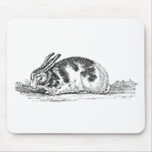 Vintage Häschen-Kaninchen-Illustration - Kaninchen Mousepad