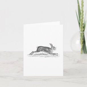 Vintage Hase Bunny Kaninchen Illustration 1800er J Karte