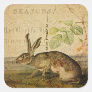 Vintage Hase-Tierillustrations-Blumencollage Quadratischer Aufkleber