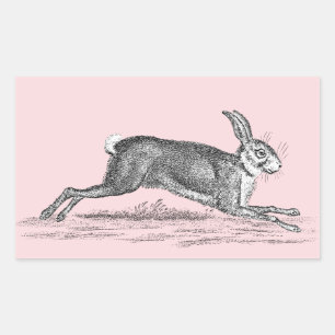 Vintage-Hasen-Hasen-Illustration - Hasen Rechteckiger Aufkleber