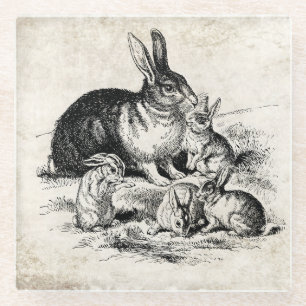 Vintage-Hasenfamilien-Illustration, Baby-Häschen Glasuntersetzer