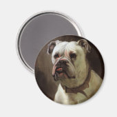 Vintage Haustiere, Boxer Puppy Dog Portrait Magnet (Vorderseite/Rückseite)