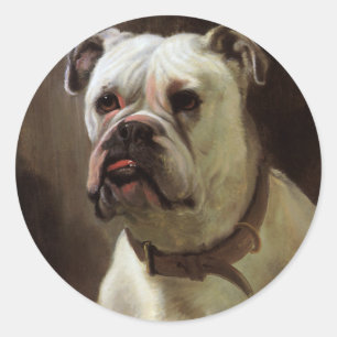 Vintage Haustiere, Boxer Puppy Dog Portrait Runder Aufkleber