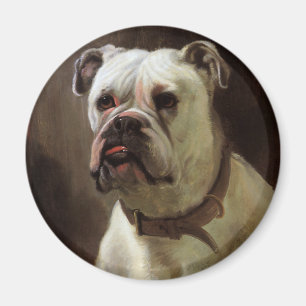 Vintage Haustiere, Boxer Welpe Hund Porträt Magnet