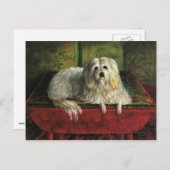 Vintage Haustiere, leibiger Schafhund Postkarte (Vorne/Hinten)