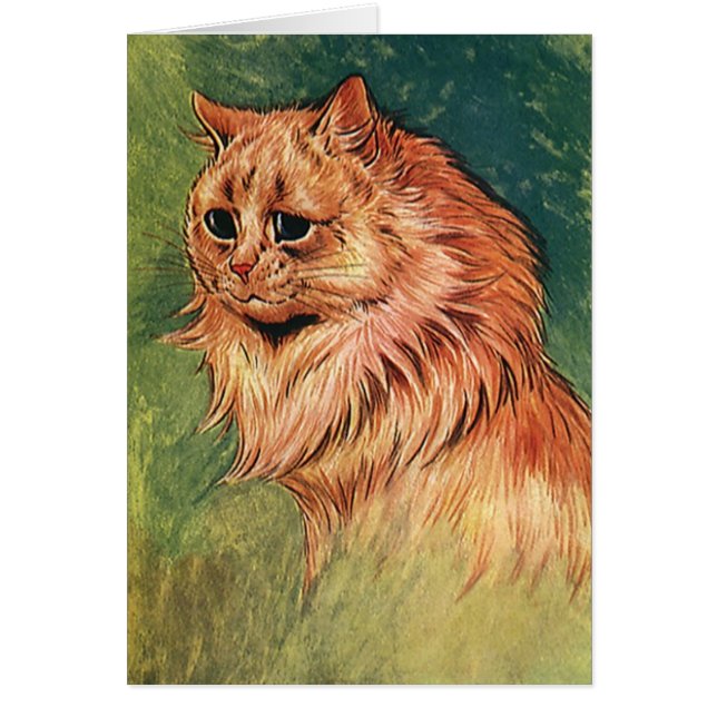 Vintage Haustiere, Orangenkatze mit langer Haare (Vorne)