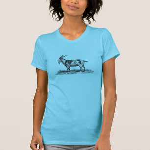 Vintage Hausziege-Illustration - Ziegen 1800's T-Shirt
