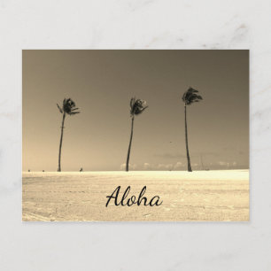 Vintage Hawaii Aloha Postkarte