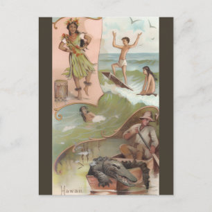 Vintage Hawaii Postkarte