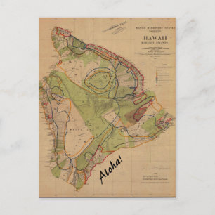 Vintage-Hawaii-Postkarte Aloha Postkarte