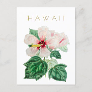 Vintage Hawaii Staat Blume Reise Mitte des Jahrhun Postkarte