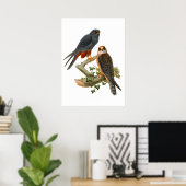 Vintage Hawks Poster (Heimbüro)