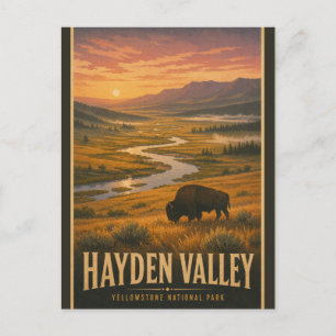 Vintage Hayden Valley Yellowstone-Nationalpark Postkarte