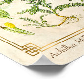 Vintage Heilkräuterhaufen Blume Botanisch Poster (Ecke)