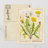 Vintage Heilkräuterleuchte Blume Botanisch Postkarte (Vorne/Hinten)