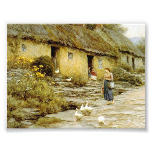 Vintage Helen Allingham Irisches Cottage Fotodruck