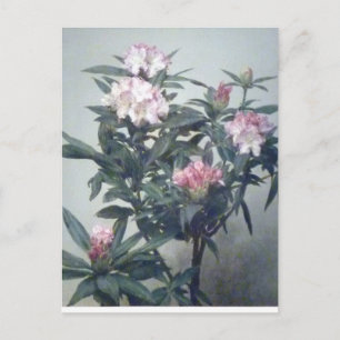 Vintage Henri Latour blühender Rhododendronzweig Postkarte