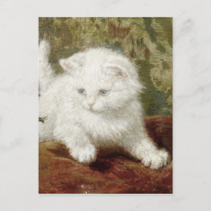 Vintage Henriette Ronner-Knip-Neugier Postkarte