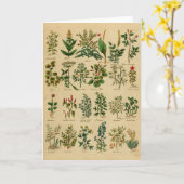 Vintage Herbal Greeting Card Series - 1 Karte (Gelbe Blume)