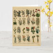 Vintage Herbal Greeting Card Series - 6 Karte (Gelbe Blume)