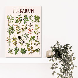 Vintage Herbarium Green Pflanze Chart Leinwanddruck