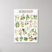 Vintage Herbarium Green Pflanze Chart Leinwanddruck (Vorderseite)