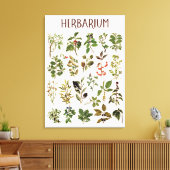 Vintage Herbarium Green Pflanze Chart Leinwanddruck (Insitu (Wohnzimmer))