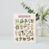 Vintage Herbarium Green Pflanze Chart Postkarte (Stehend Vorderseite)