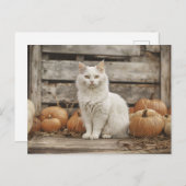 Vintage Herbstkürme der weißen Katze Postkarte (Vorne/Hinten)