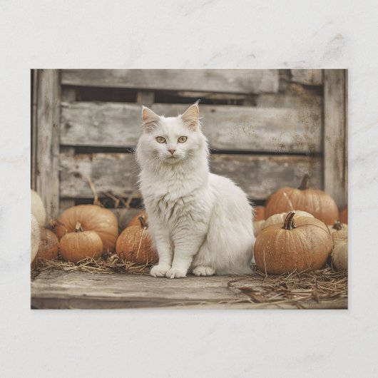 Vintage Herbstkürme der weißen Katze Postkarte (Vorderseite)