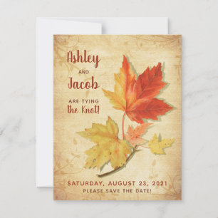 Vintage Herbstmaple-Blätter Hochzeitsfeiern Speich Mitteilungskarte