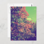 Vintage Herbstunterschiede Postkarte (Vorne/Hinten)