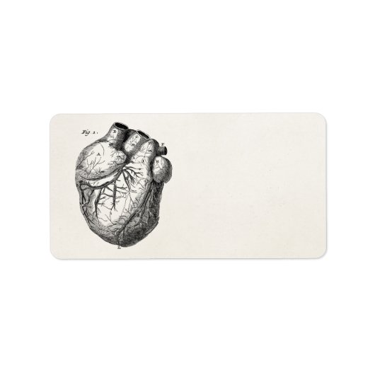 Vintage Herz-Retro-Herzanatomie der 1800er Jahre Adressaufkleber (Vorne)