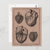 Vintage Herz-Retro-Herzanatomie der 1800er Jahre Postkarte (Vorne/Hinten)