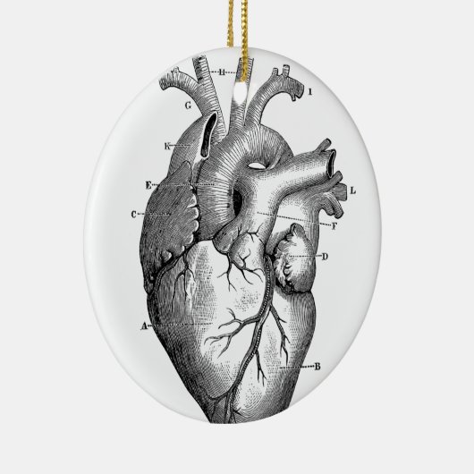Vintage Herzanatomie | Anpassbar Keramikornament (Rechts)